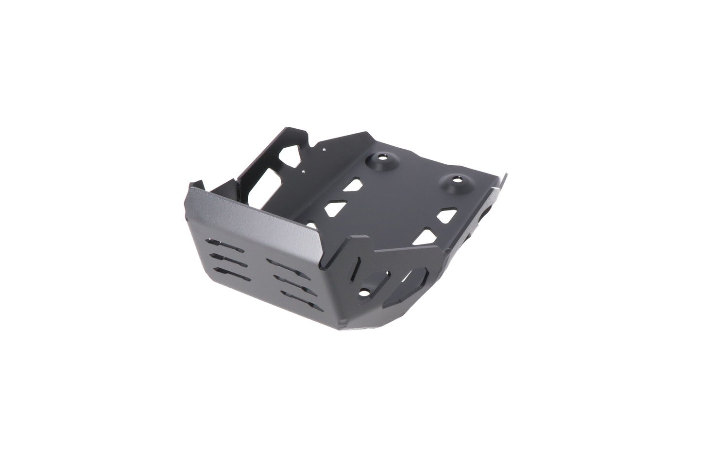 SW-MOTECH Protector de motor Negro. BMW G 310 GS (17-).