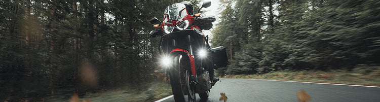 Seguridad SW-MOTECH